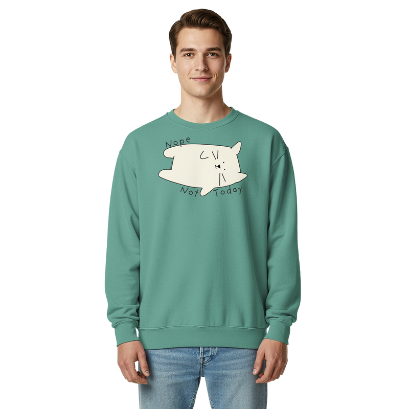 Seafoam green garment-dyed sweatshirt with a cream cartoon cat and 'Nope Not Today' lettering.