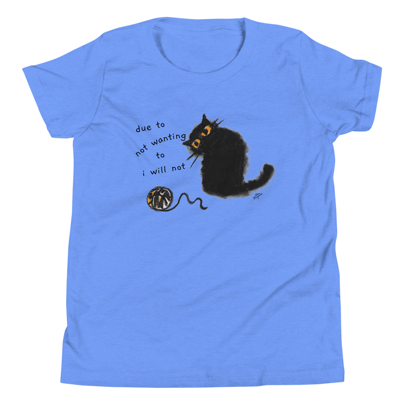 Heather Columbia blue youth T-shirt with a black cat beside a yarn ball and 'Due to not wanting to, I will not' lettering.